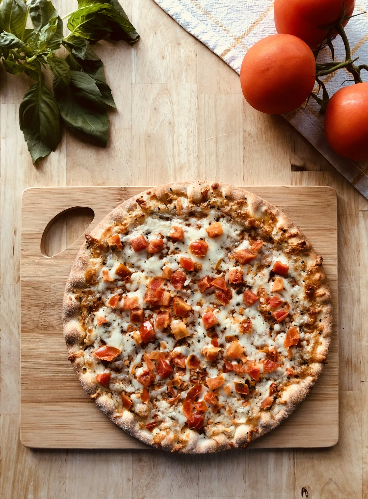 A fresh pizza with basil and vine tomatoes, ready for catering